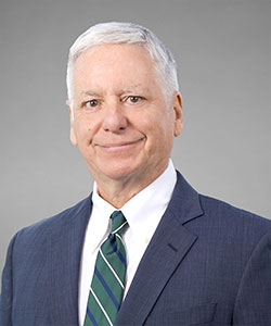 Hon.  Luis A. Lavin (Ret.)